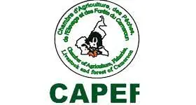 CAPEF